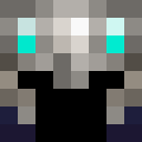 Image for pzp Minecraft Player