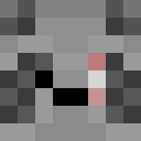 Image for raccoon_ Minecraft Player