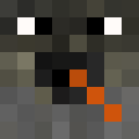 Image for rlvn Minecraft Player