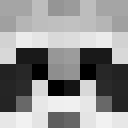 Image for rracconn Minecraft Player