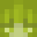 Image for sShrek Minecraft Player