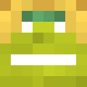 Image for salatek Minecraft Player