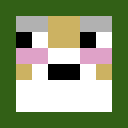 Image for seokmin_ Minecraft Player