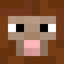 Image for shinySheep Minecraft Player