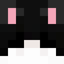 Image for sillycat4 Minecraft Player