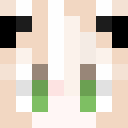 Image for sin1rostro Minecraft Player