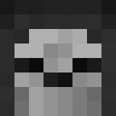 Image for skiper71 Minecraft Player