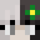 Image for slixn Minecraft Player