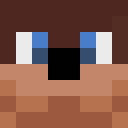 Image for sloep Minecraft Player