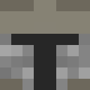 Image for slome_jelle Minecraft Player