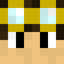 Image for solevv Minecraft Player