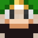 Image for space_cactus Minecraft Player