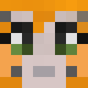 Image for squidynugget Minecraft Player