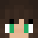 Image for steveprogaming Minecraft Player