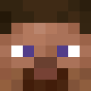 Image for surveille Minecraft Player