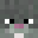 Image for szczur_wodny Minecraft Player