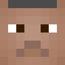 Image for tejfun Minecraft Player