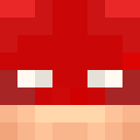 Image for the__flash_ Minecraft Player