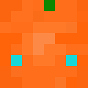 Image for the_carrot_man Minecraft Player