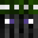 Image for the_doom_turtle Minecraft Player