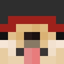 Image for the_papu Minecraft Player