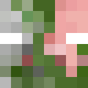 Image for the_redone Minecraft Player