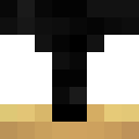 Image for theflowerbandit Minecraft Player