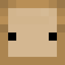 Image for thepals Minecraft Player