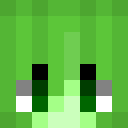 Image for thhe Minecraft Player