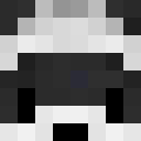 Image for trashpanda04 Minecraft Player