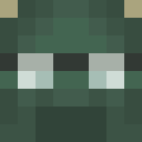 Image for tulipanes Minecraft Player