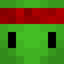 Image for turttl Minecraft Player