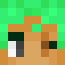 Image for vNerd Minecraft Player