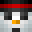 Image for vSnowman Minecraft Player