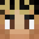 Image for vacita Minecraft Player