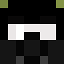 Image for vbu Minecraft Player