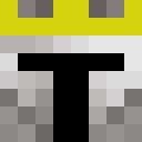 Image for vedikoxd Minecraft Player