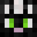 Image for verystinkyskunk Minecraft Player