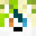 Image for vobii Minecraft Player