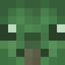 Image for watermelon17 Minecraft Player