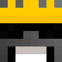 Image for weriflexs Minecraft Player