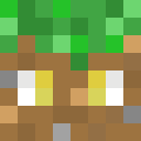 Image for wetyute Minecraft Player