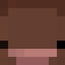 Image for wierdo Minecraft Player