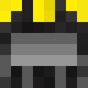 Image for wkny Minecraft Player