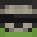 Image for wr4 Minecraft Player