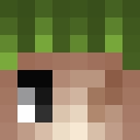 Image for wshladetaille Minecraft Player