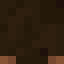 Image for wx1 Minecraft Player