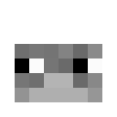 Image for x9n Minecraft Player