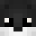 Image for xAvaLanche Minecraft Player