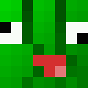 Image for xPickle Minecraft Player